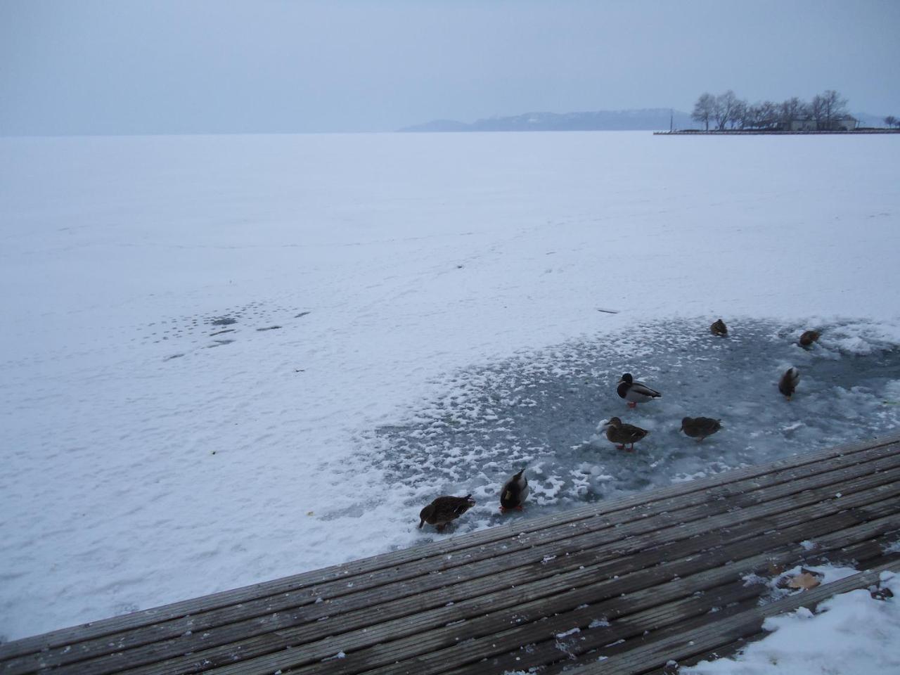 Kek Laguna Vendeghaz Balatonfüred Exteriér fotografie